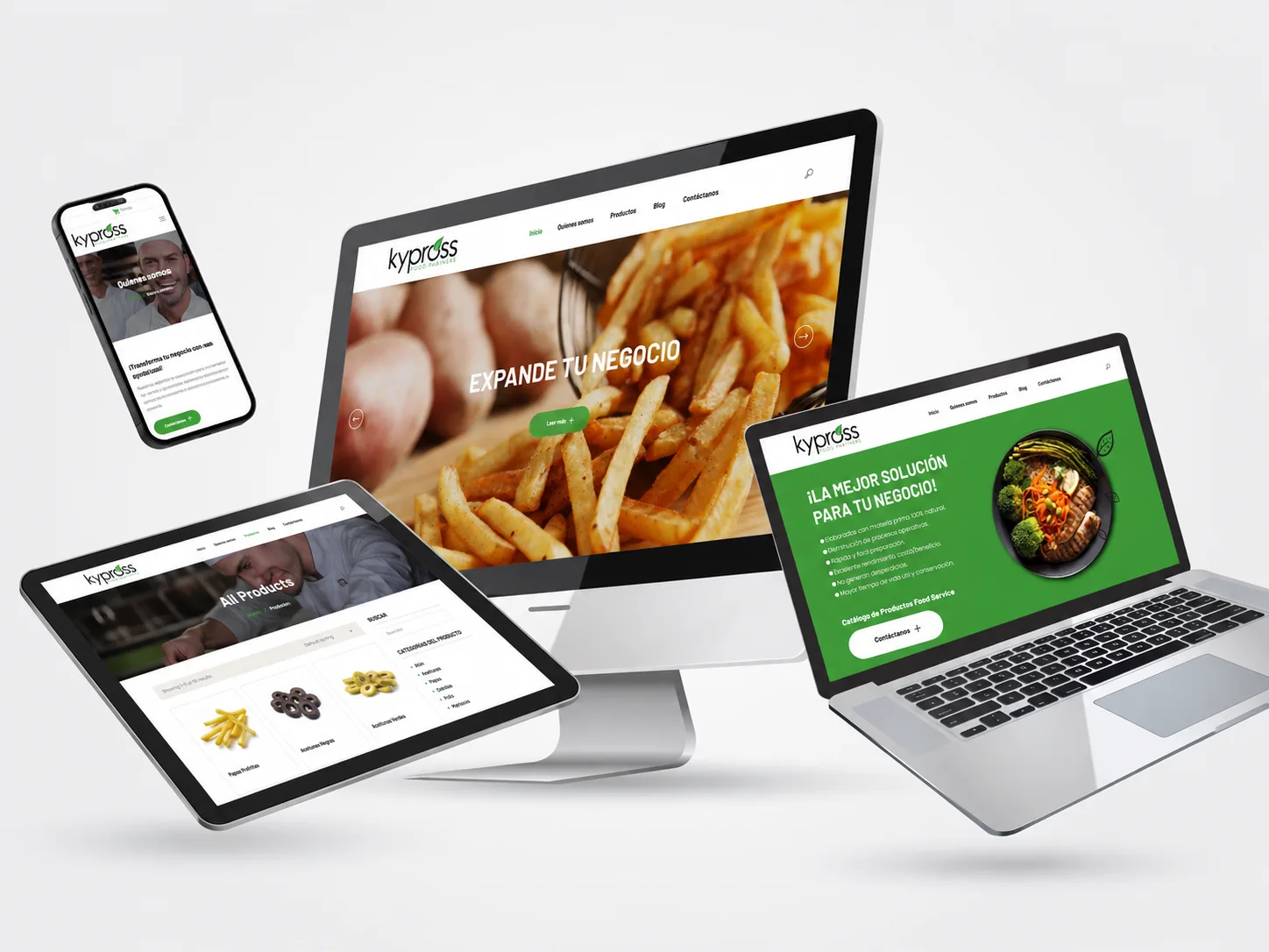 Kypross / KFS — Diseño y desarrollo web