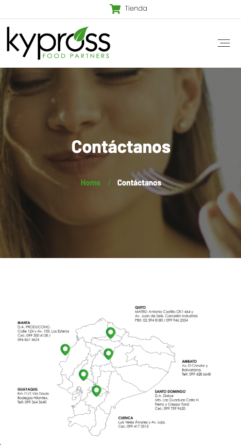 Proyecto web Kypross / KFS — vista 6